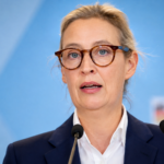 alice weidel beliebteste politikerin
